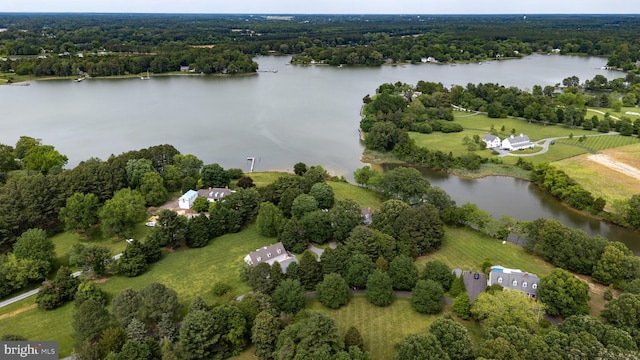6549 Locust Grove Rd, Easton, MD 21601 - bird's eye view of a nearby body of water and a heavily wooded area