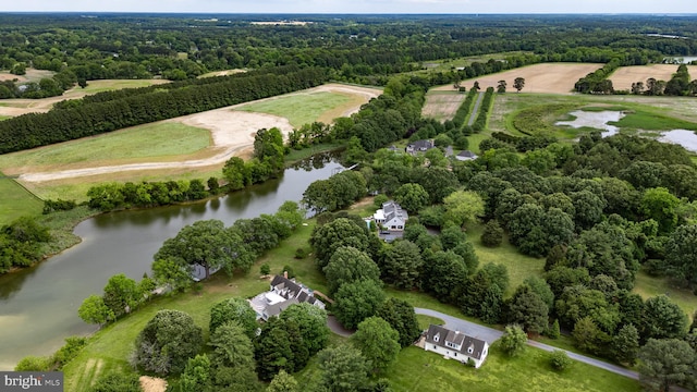 6549 Locust Grove Rd, Easton, MD 21601 - aerial view of property and surrounding area with a large body of water and a forest