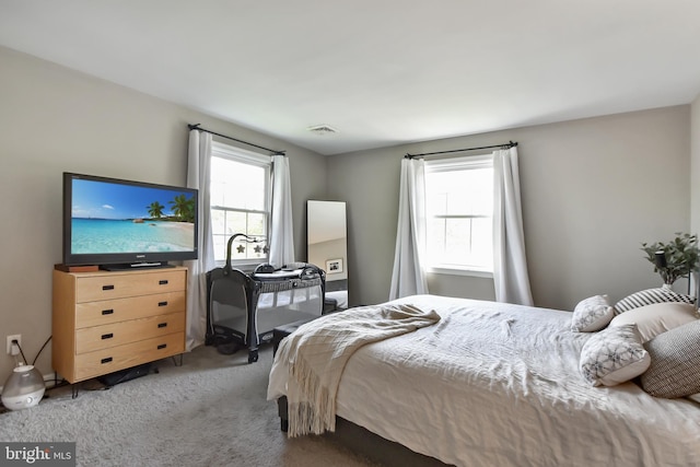 1003 E Cherry St, Palmyra, PA 17078 - bedroom with carpet and visible vents