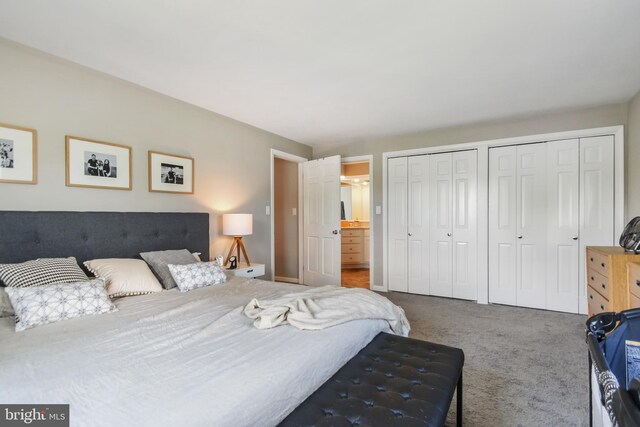 1003 E Cherry St, Palmyra, PA 17078 - bedroom featuring multiple closets, carpet flooring, and ensuite bath