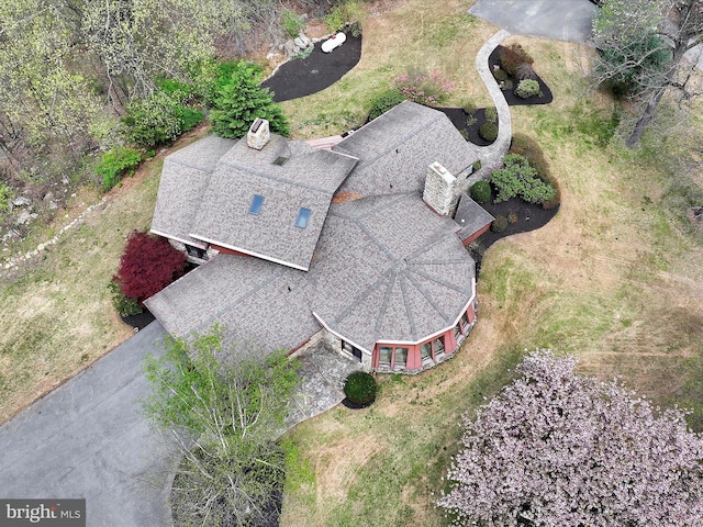 drone / aerial view