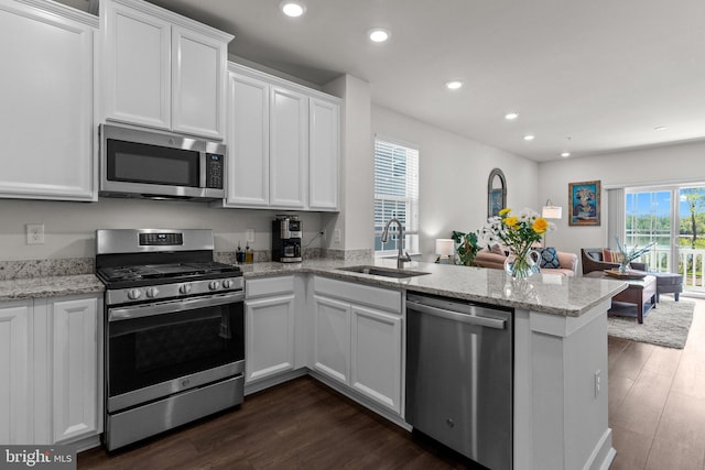 kitchen with a sink, a peninsula, open floor plan, stainless steel appliances, and recessed lighting
