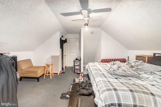 536 S Franklin St, Hanover, PA 17331 - carpeted bedroom with radiator heating unit, a textured ceiling, and vaulted ceiling