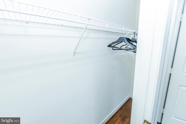 walk in closet with dark wood-type flooring