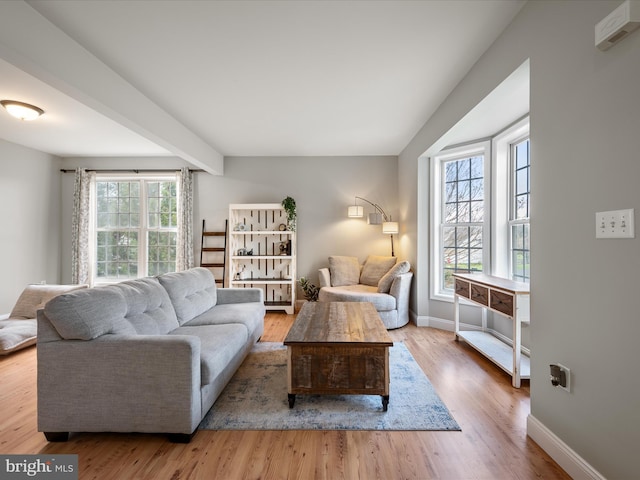 living room featuring wood finished floors, a healthy amount of sunlight, and baseboards