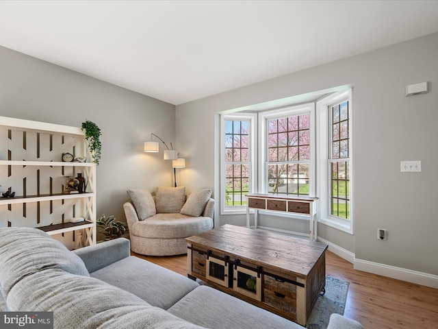 living area featuring baseboards and wood finished floors