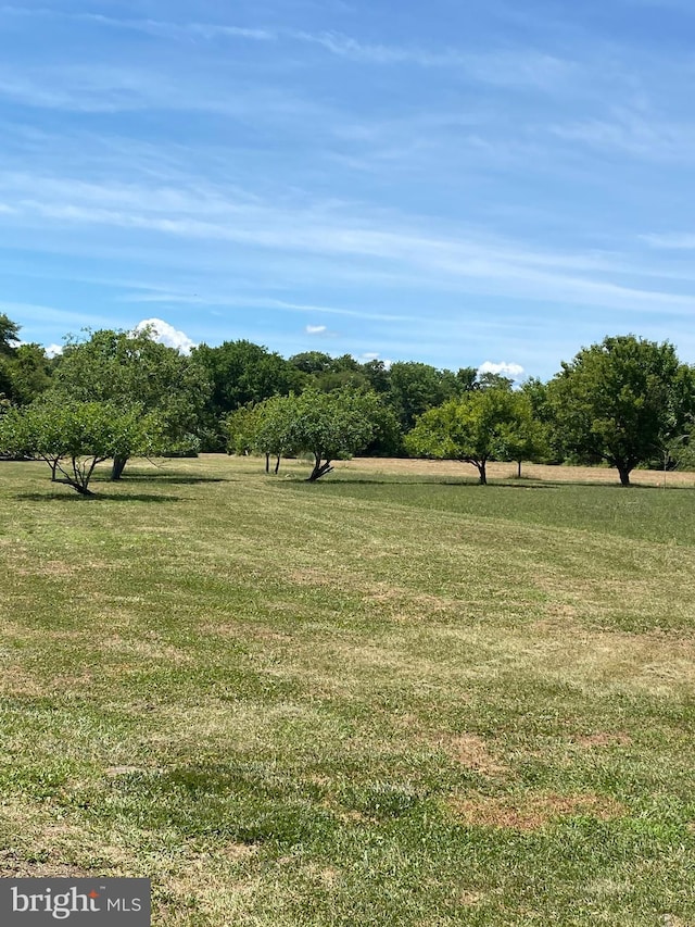 32828 Murray Rd, Frankford, DE 19945 - view of yard with a rural view