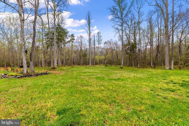 view of yard featuring a forest view