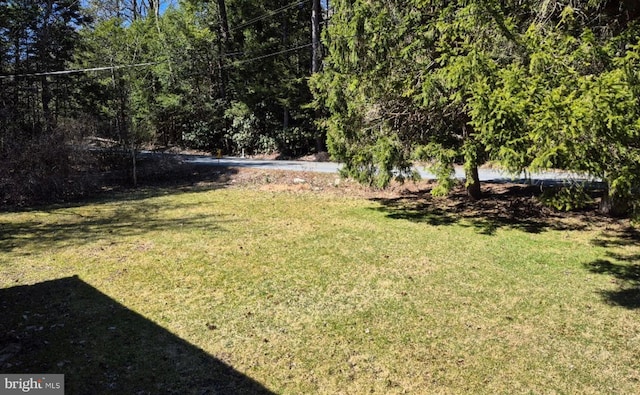 1636 Narrows Rd, Howard, PA 16841 - view of yard