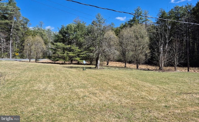 1636 Narrows Rd, Howard, PA 16841 - view of yard featuring a wooded view