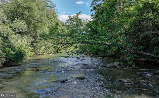 1636 Narrows Rd, Howard, PA 16841 - view of local wilderness with a view of trees