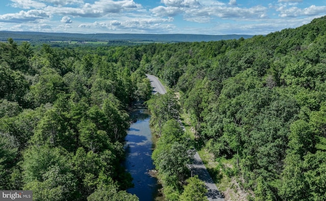 1636 Narrows Rd, Howard, PA 16841 - drone / aerial view with a view of trees