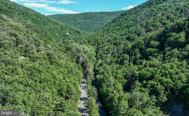 1636 Narrows Rd, Howard, PA 16841 - property view of mountains with a wooded view