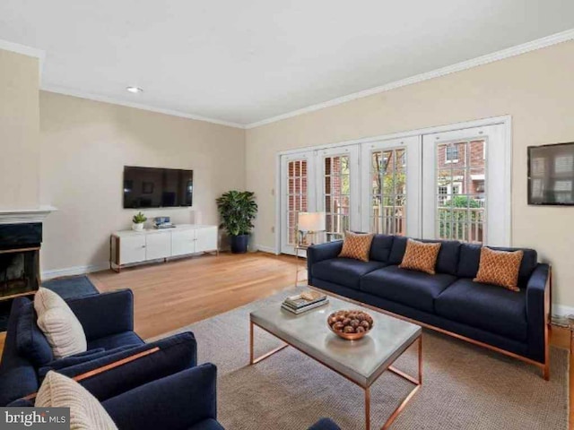 922 Fell St, Baltimore, MD 21231 - living room featuring crown molding, wood finished floors, baseboards, and a glass covered fireplace