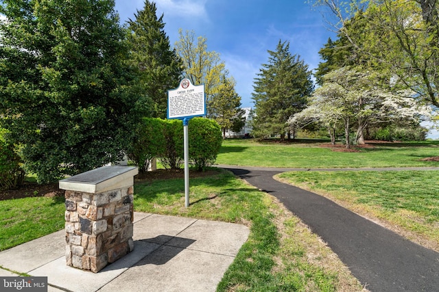 view of home's community with a yard