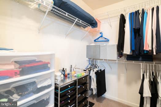17661 Avenel Ln, Dumfries, VA 22026 - view of spacious closet