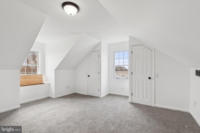 additional living space with carpet flooring, baseboards, lofted ceiling, and a wealth of natural light