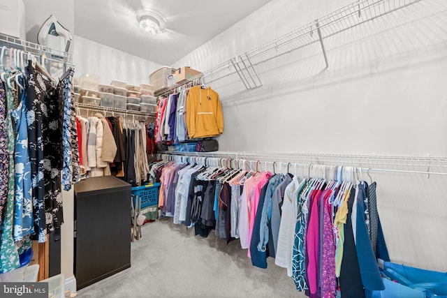 42694 Chisholm, Broadlands, VA 20148 - walk in closet featuring carpet