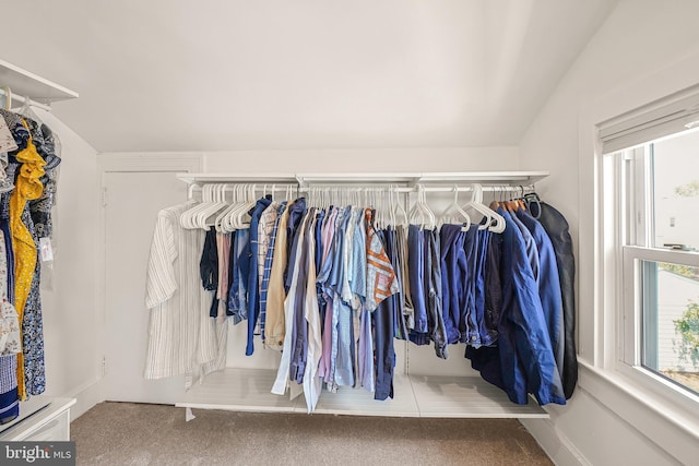 walk in closet featuring lofted ceiling and carpet