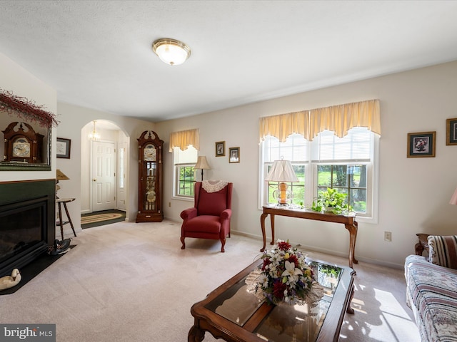 5409 Smith Creek Rd, New Market, VA 22844 - carpeted living room with arched walkways and a glass covered fireplace