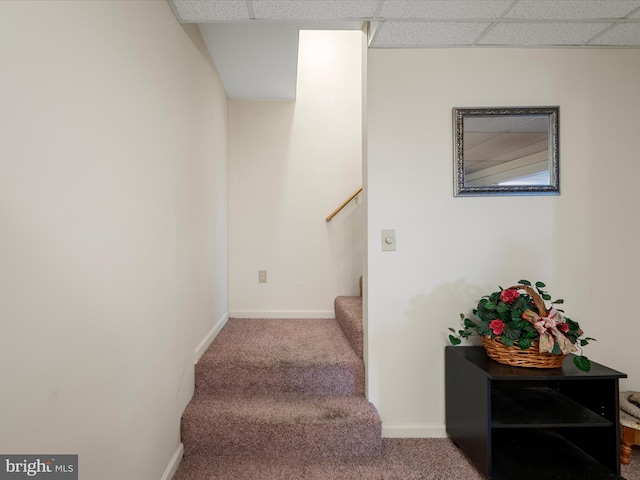 5409 Smith Creek Rd, New Market, VA 22844 - stairs featuring baseboards, carpet flooring, and a drop ceiling