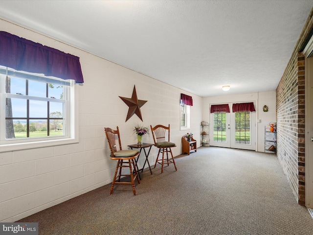 5409 Smith Creek Rd, New Market, VA 22844 - living area with carpet floors