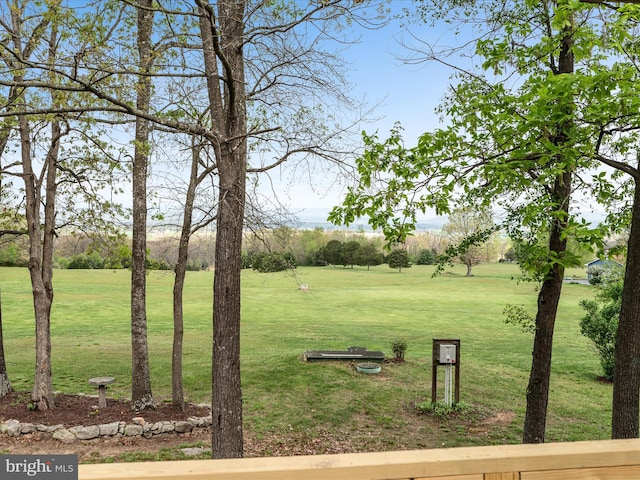 5409 Smith Creek Rd, New Market, VA 22844 - view of yard