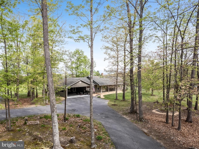 5409 Smith Creek Rd, New Market, VA 22844 - view of front of house with driveway