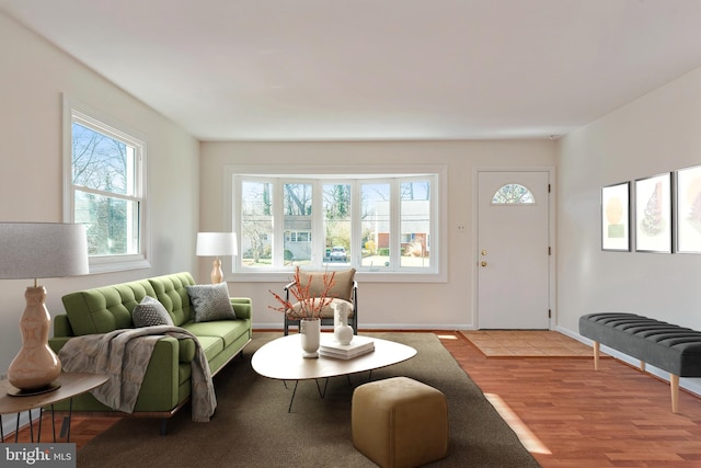 living area with baseboards and wood finished floors