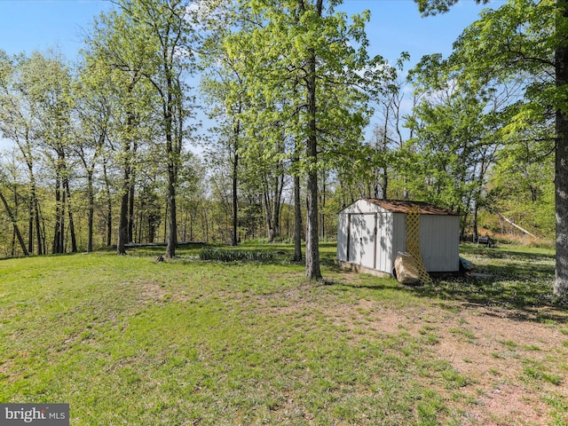 view of yard featuring an outbuilding and a storage unit