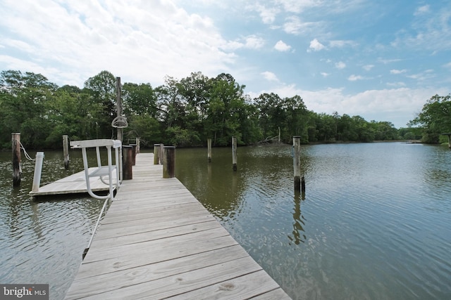 dock area featuring a water view