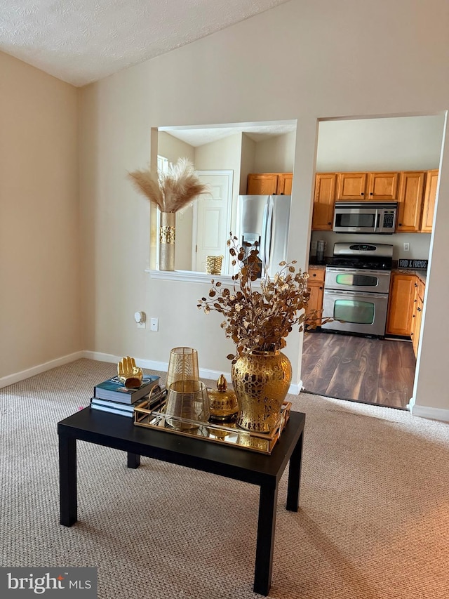 2440 Blue Spring Ct Unit 301, Odenton, MD 21113 - living area featuring dark carpet, baseboards, and a textured ceiling