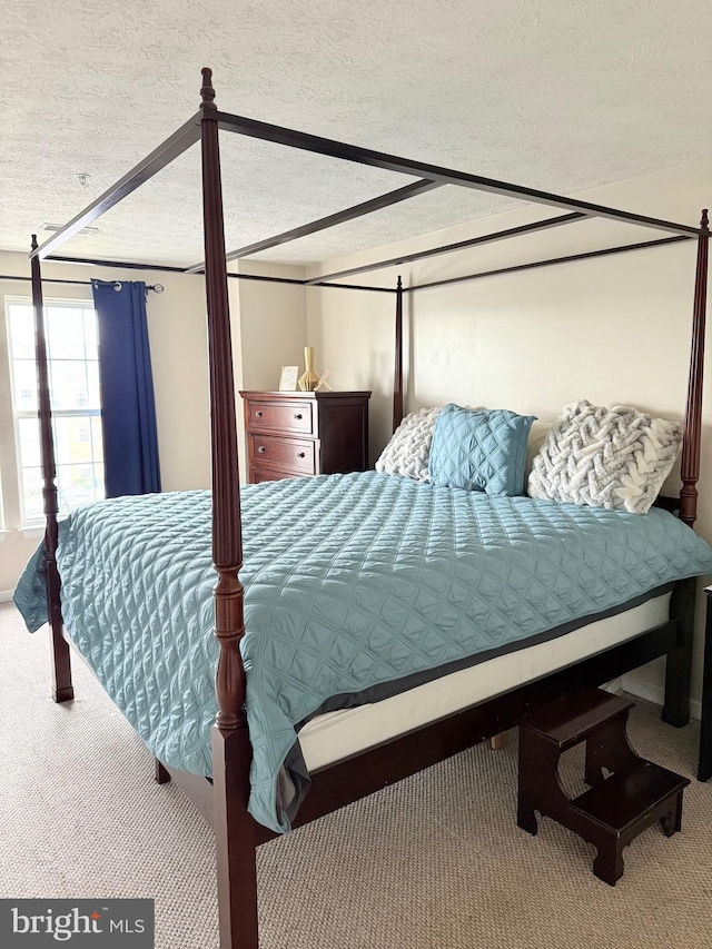 2440 Blue Spring Ct Unit 301, Odenton, MD 21113 - bedroom featuring carpet and a textured ceiling