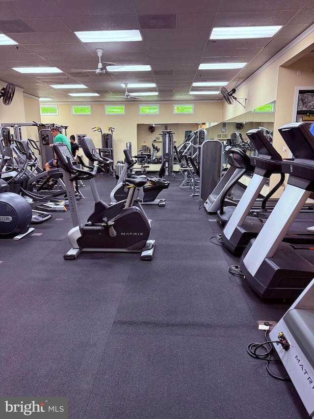 2440 Blue Spring Ct Unit 301, Odenton, MD 21113 - workout area with a ceiling fan and a paneled ceiling