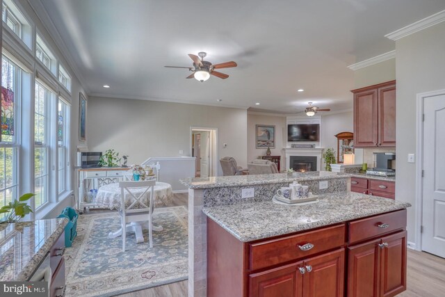 21555 Waterview Rd, Lewes, DE 19958 - kitchen with a lit fireplace, open floor plan, light wood-style floors, ceiling fan, and ornamental molding