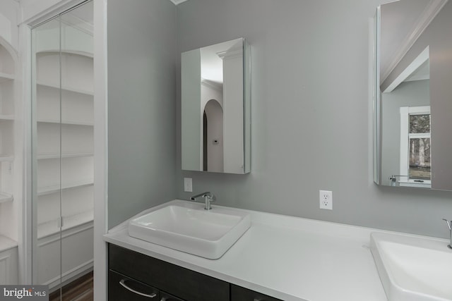 full bath with vanity and a spacious closet