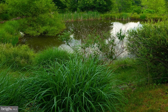 water view