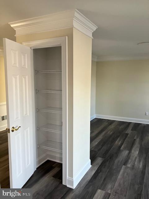 113 Heulings Ave, Riverside, NJ 08075 - closet with visible vents