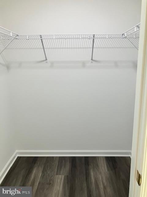 113 Heulings Ave, Riverside, NJ 08075 - walk in closet featuring dark wood finished floors
