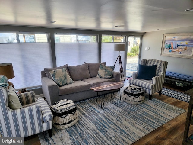 living area featuring wood finished floors