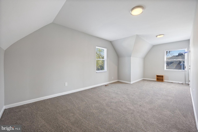 additional living space with carpet, baseboards, and lofted ceiling