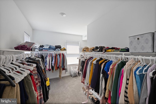 spacious closet with carpet floors