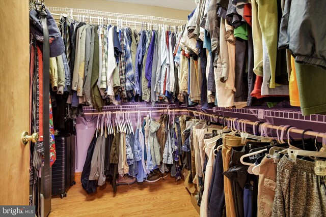 walk in closet with wood finished floors