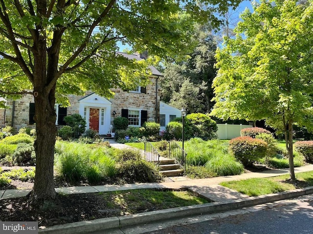 view of front of house featuring fence and stone siding