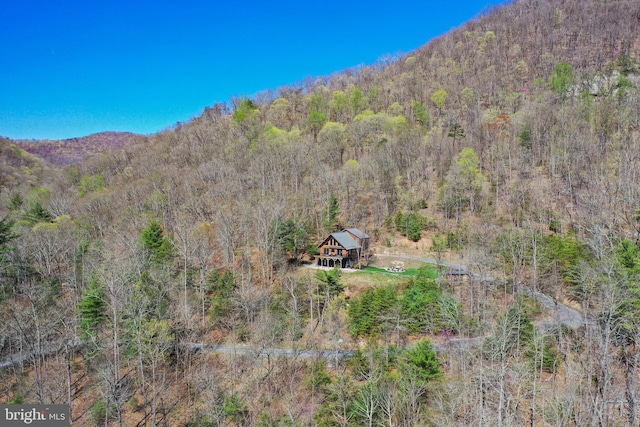 view of mountain feature featuring a view of trees