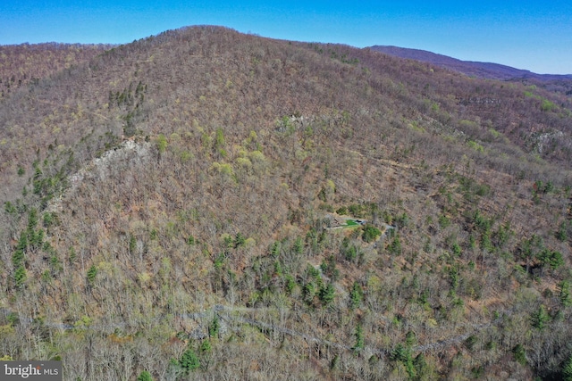 view of mountain feature featuring a forest view