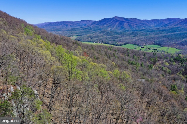 view of mountain feature featuring a view of trees