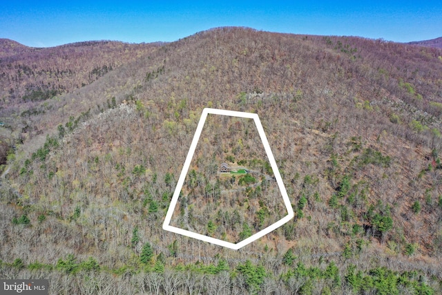 mountain view