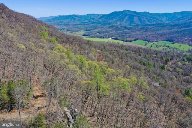 view of mountain feature featuring a view of trees
