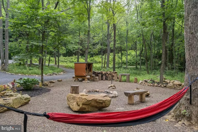 view of community featuring a wooded view